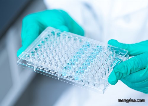 用于政策评估的计量经济学：问题、前沿与展望